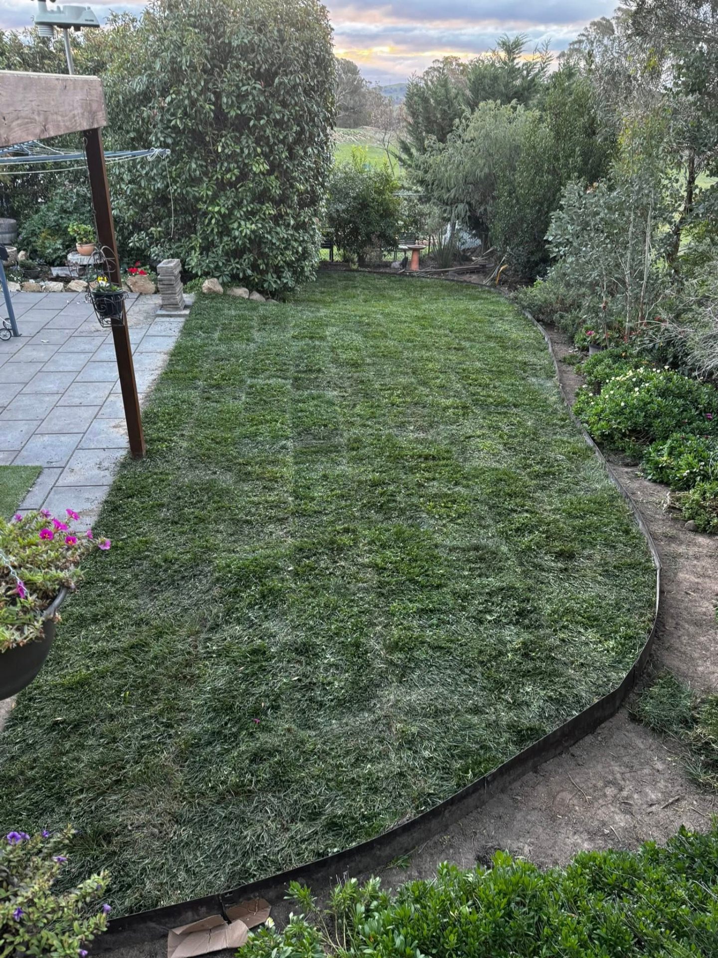 Fresh Turf Lay