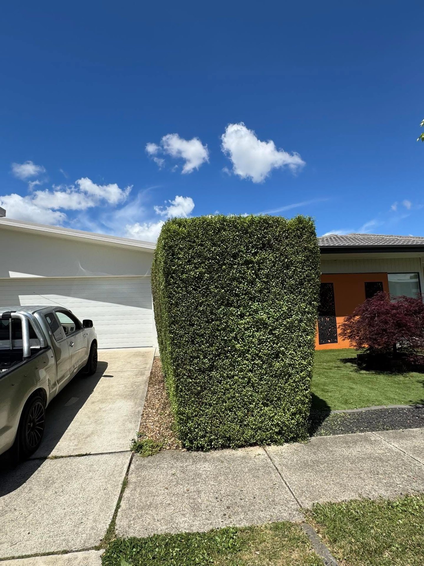 Shaped Hedge Trim
