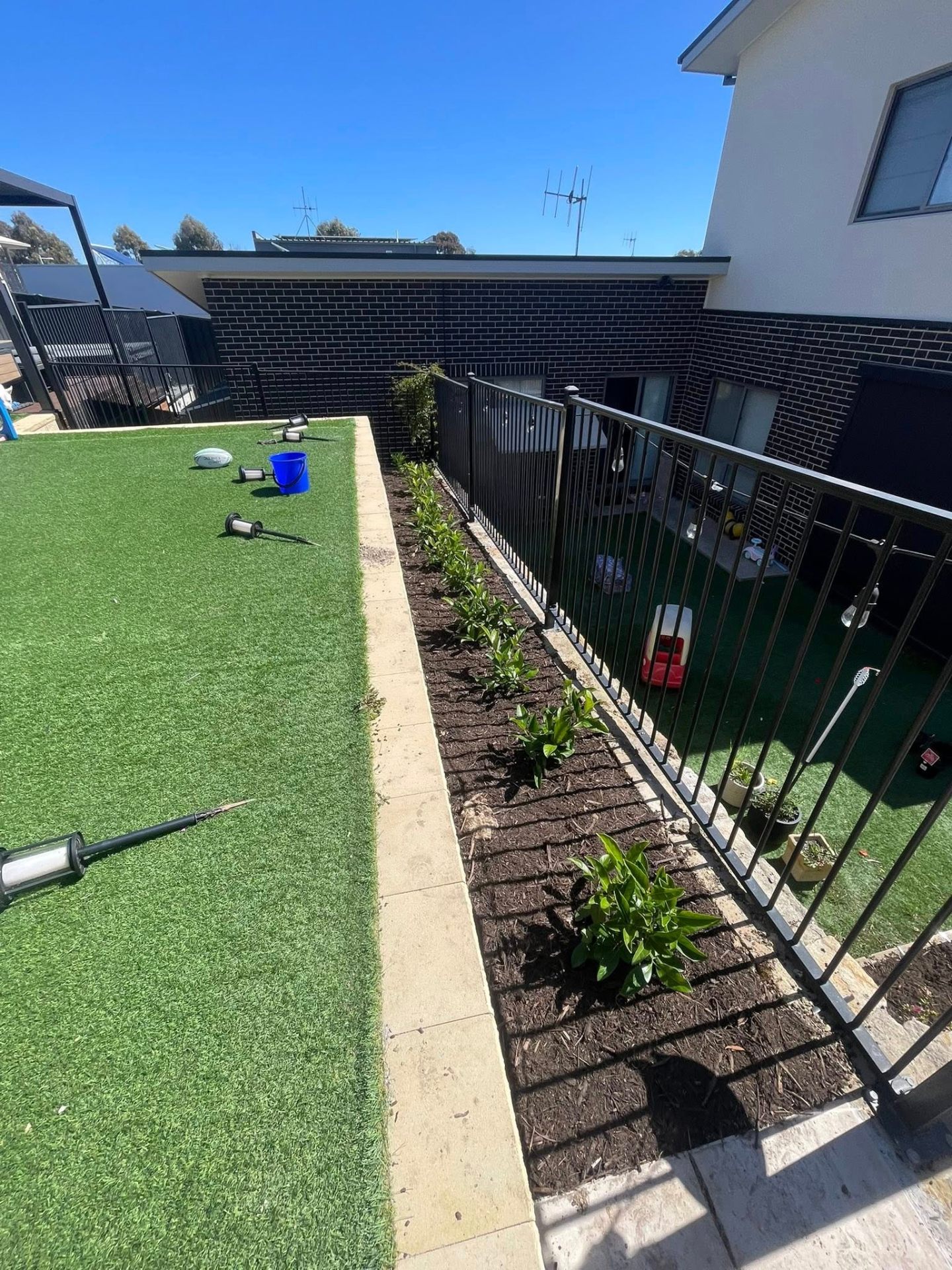 Garden Bed Planting